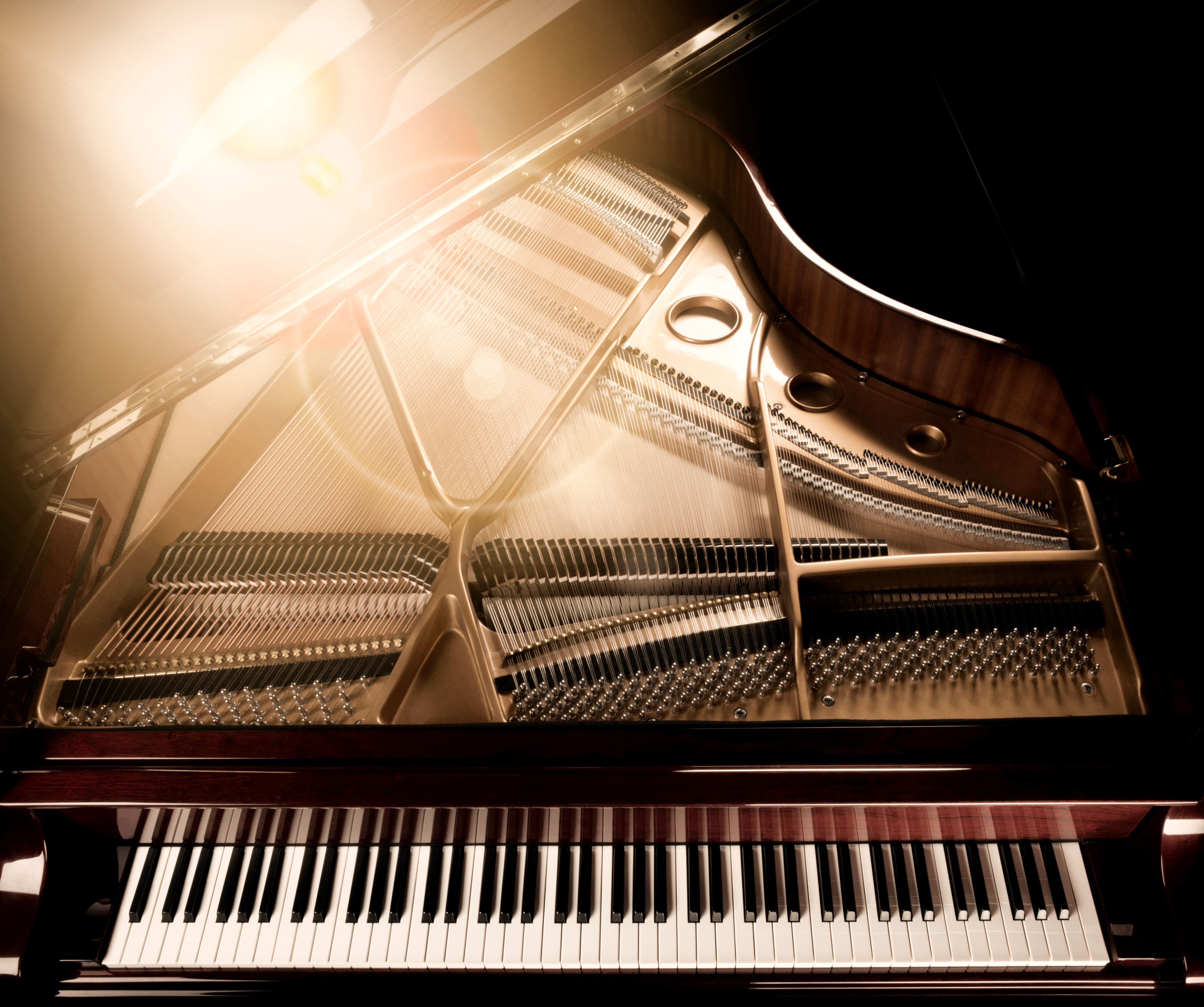 Piano service detail
